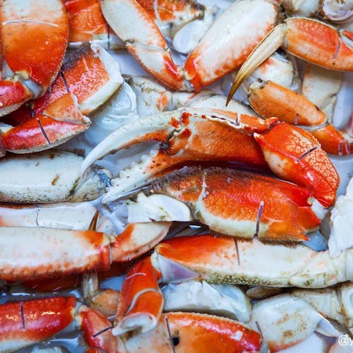 How to Eat Dungeness Crab 