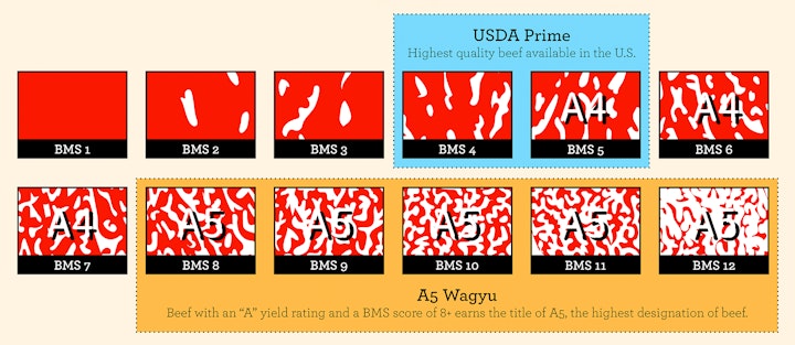 Japanese BMS Scale