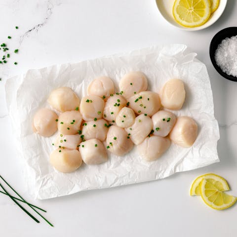 Image of Wild Atlantic Sea Scallops