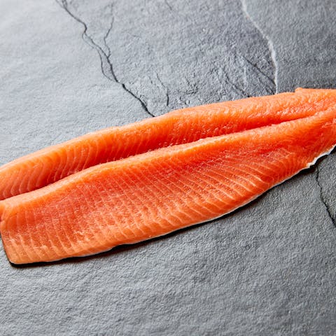 Image of Steelhead Trout Fillet