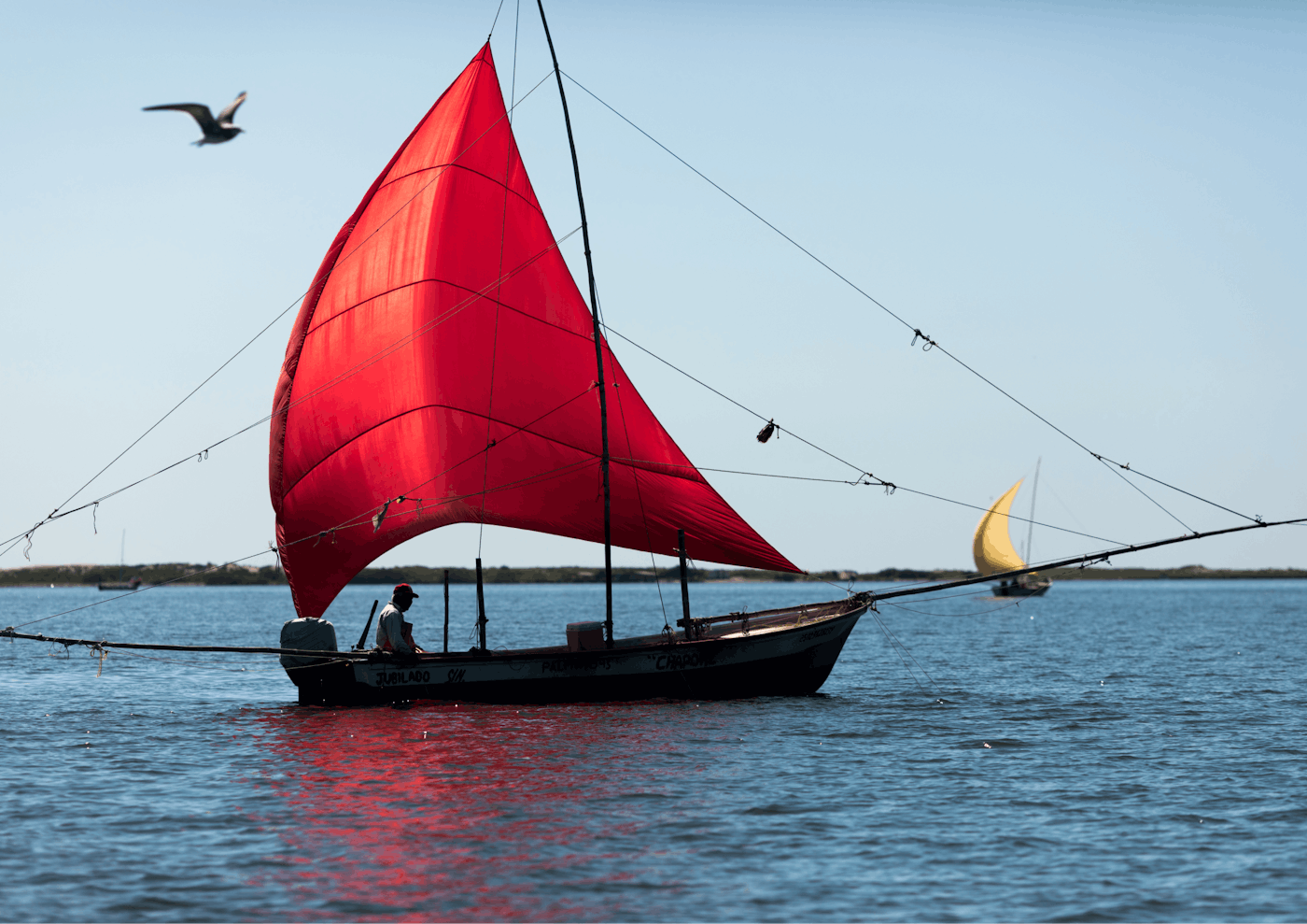 Panga Boats
